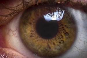 Macro extreme close up human eyeball background